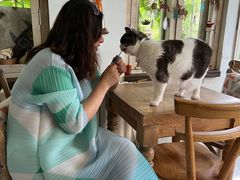 -海边的猫和咖啡馆