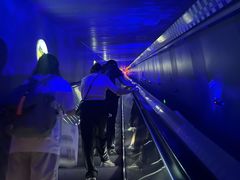 -白鹤梁水下博物馆