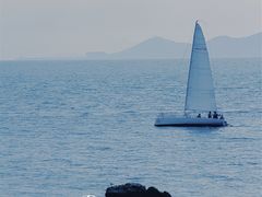 -小麦岛公园