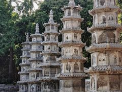 -泰山风景名胜区-普照寺
