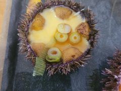 -海胆小馆(东北水饺·春柳店)