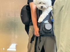 -谢列梅捷沃国际机场