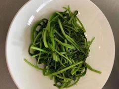 -食神鱼头佛跳墙(百子湾旗舰店)