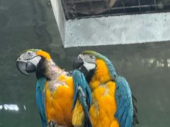 -福州罗源湾海洋世界旅游区