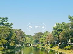-长洲岛