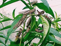 -神农溪纤夫文化旅游区