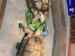-顺德南宏海立方海洋公园