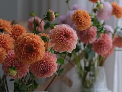 -花邻FloweringLife花艺气球派对(武康大楼店)