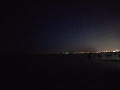 -合肥滨湖国家森林公园