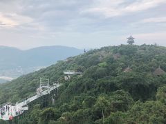 -亚龙湾热带天堂森林公园