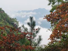 -塔云山