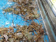 -徐记海鲜(大雁塔|金都店)