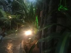 -龙达温泉生态城