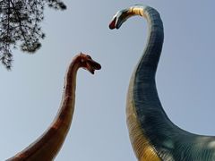 -森波拉奇妙世界