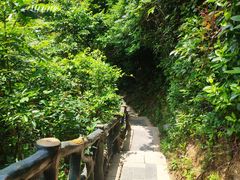 -梧桐山风景名胜区