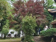 -岳麓山风景名胜区