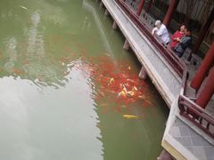 -龙潭水乡