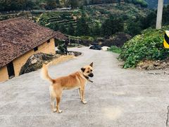 -南尖岩