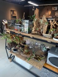 -周忆刺青原创设计定制