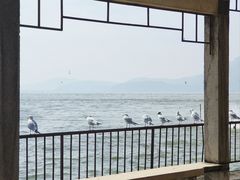 -滇池海埂公园