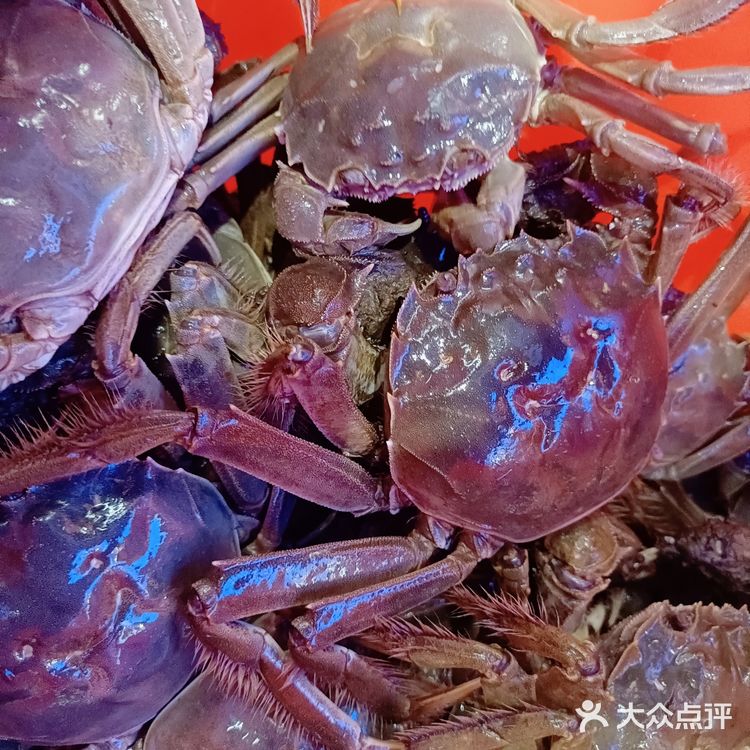 厦门集美顶级海鲜自助餐