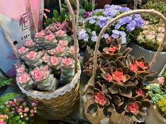 -双季花艺园艺市场(浦东店)