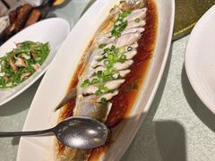 -金美华轩(东方路齐鲁店)