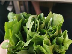 油麦菜-润园四季椰子鸡火锅(海上世界店)