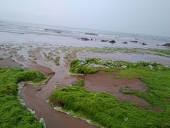 -青岛银沙滩