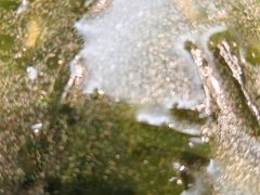 -老海陵·泰州菜(图书馆店)