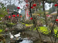 -青城甲(青城山店)