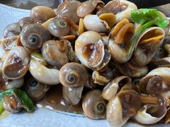 -鲁前海沿儿