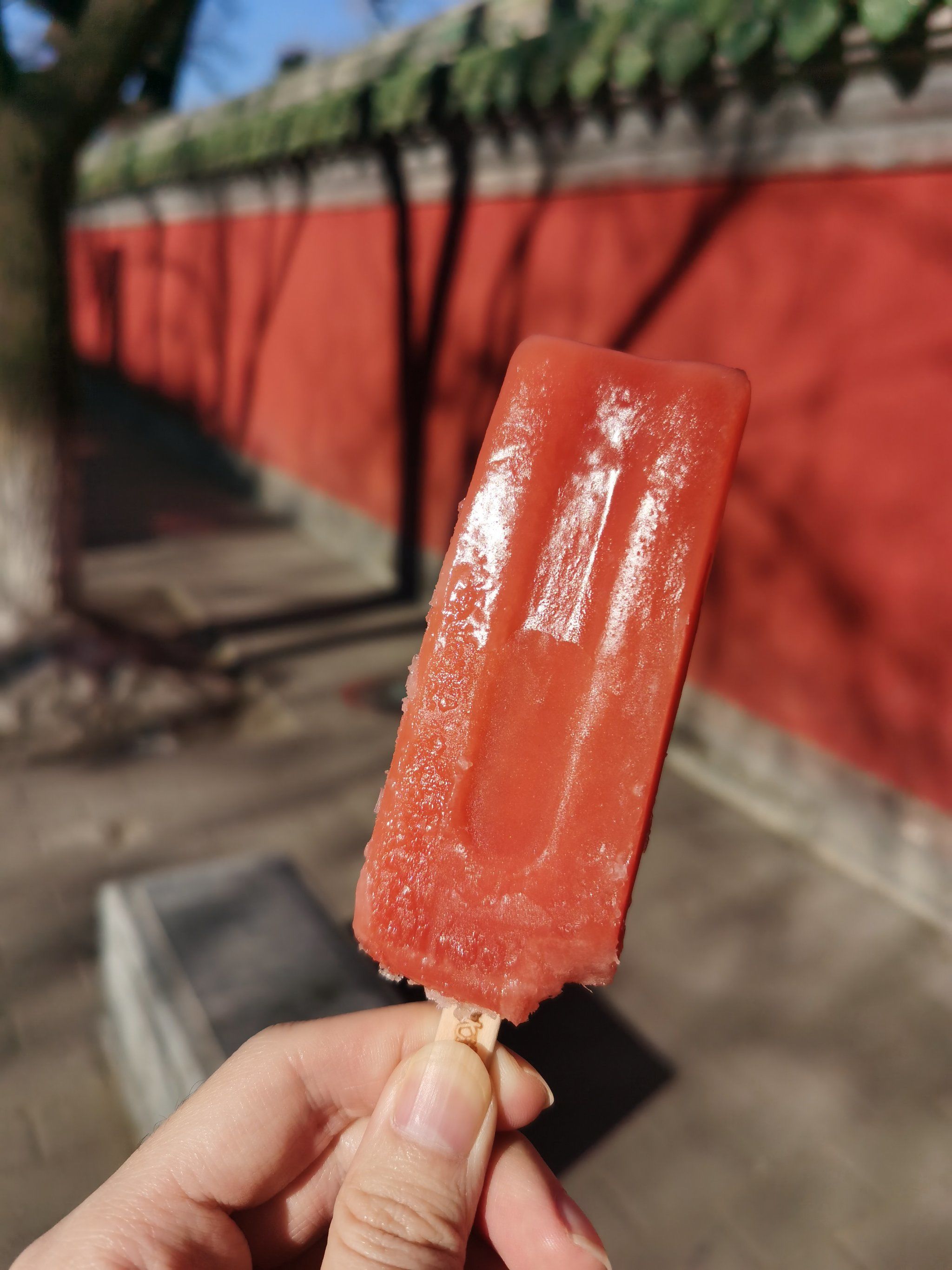 百年义利北冰洋红果冰棍回购