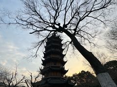 -红梅公园