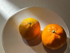 -四季民福烤鸭店(和平里店)