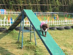 -上海崇明金茂凯悦酒店