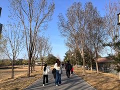 -西海子公园