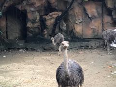 -长鹿旅游休博园