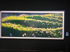 -罗红摄影艺术馆