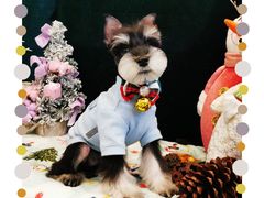 -喵汪宠物生活馆(涞坊路店)