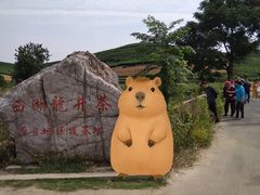 -龙坞茶村