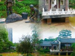 -大亚湾红树林城市湿地公园