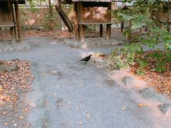 -热田神宫