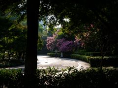 -杭州城北体育公园