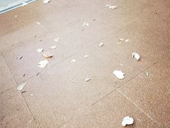 -坛南湾阿强农家乐.海鲜大排档老字号(福州地标美食店)