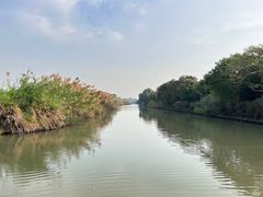 -大湾区中央湿地公园