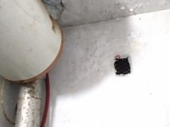 -永安烧烤