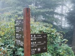 -庐山风景区花径公园