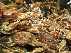 -蟹之国·精品蟹料理(极地店)