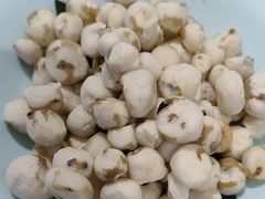 -探窝·竹笙椰子鸡(杨箕店)